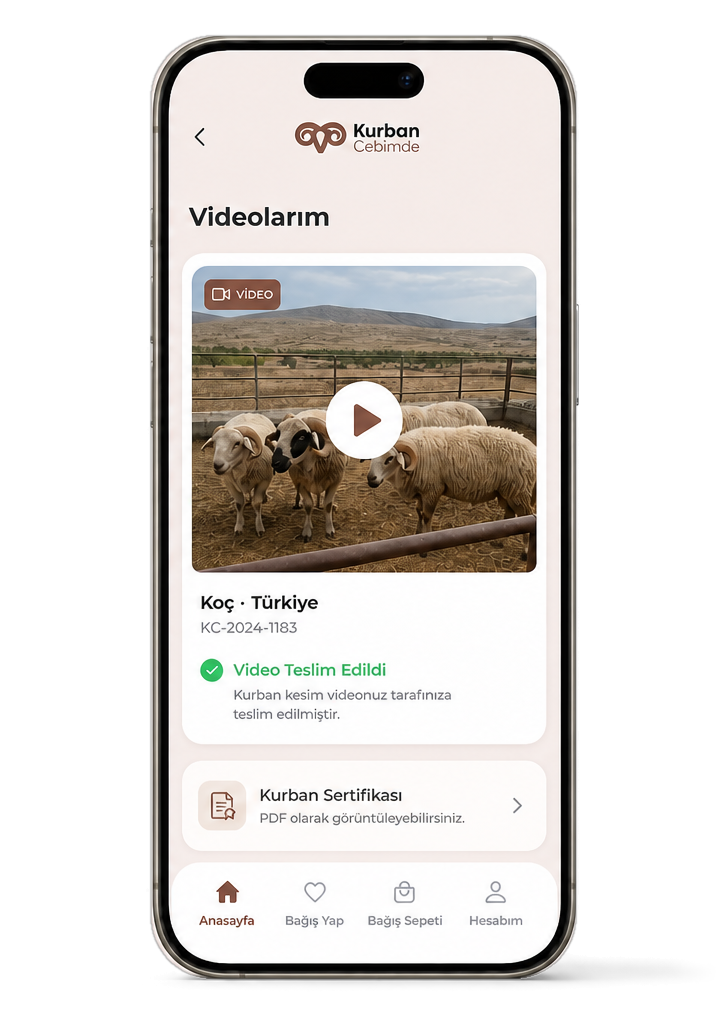 Kurban Cebimde Videolarım ekranı: oynatma düğmeli saha videosu, “Video Teslim Edildi” onayı ve PDF olarak görüntülenebilen Kurban Sertifikası satırı.
